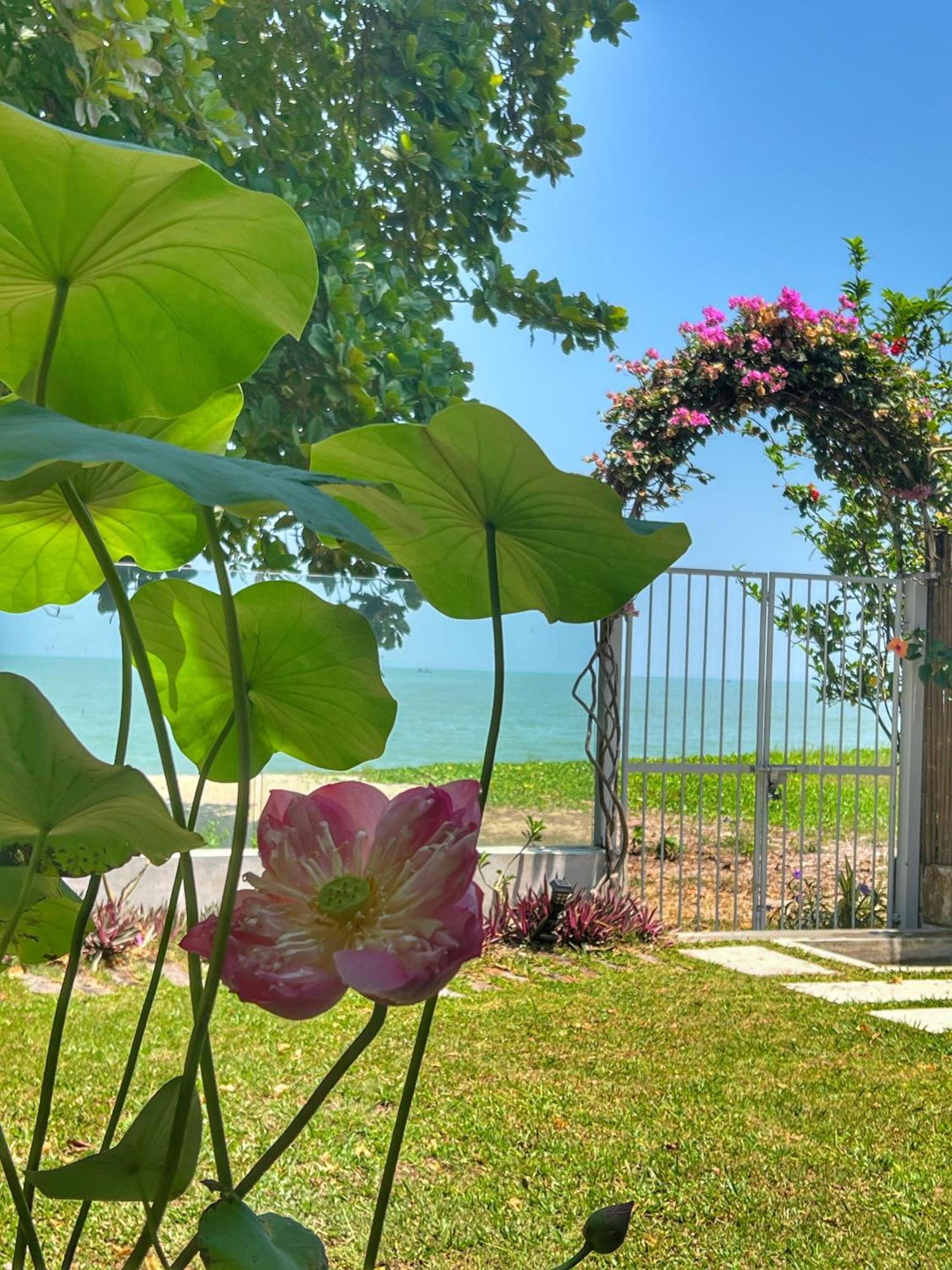 Smell Rose Beach Garden Batu Feringgi Dış mekan fotoğraf